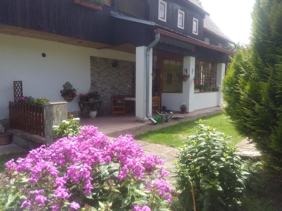 Apartment U Sviraku